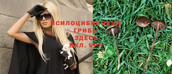 кокс Абаза