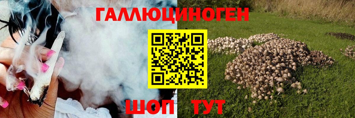 Псилоцибиновые грибы ЛСД Элиста