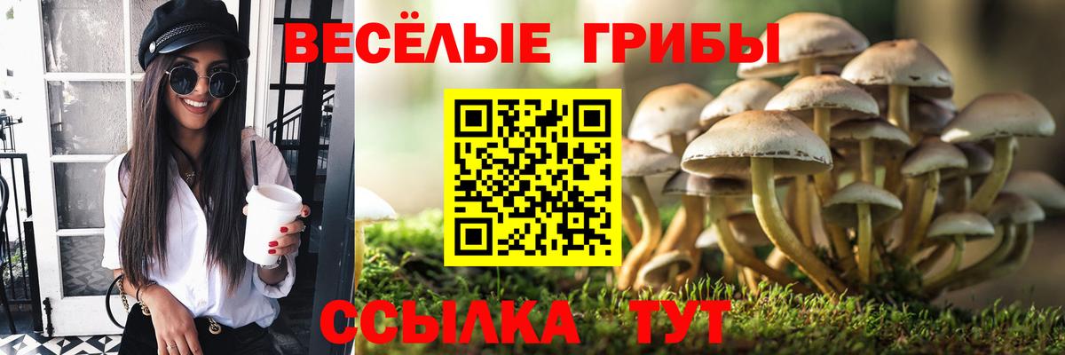 Псилоцибиновые грибы мухоморы  Псилоцибиновые грибы прущие грибы  Элиста  Вход с VPN 